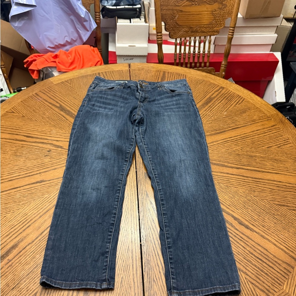 Kut from the Kloth Blue Denim with Brown Embroidery